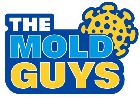 The_Mold_Guys-logo-removebg-preview